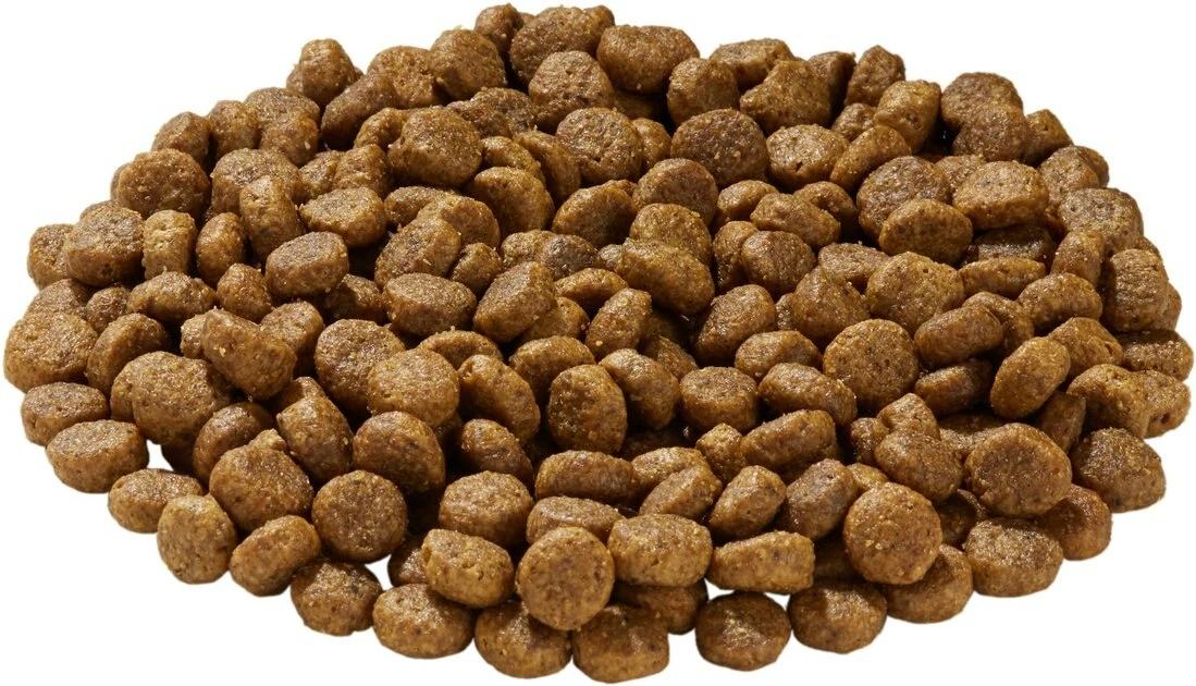 Best reviews of π₯ Health Extension Grain-Free Duck Recipe Dry πΆ Dog Food 𧨠3 Best reviews of π₯ Health Extension Grain-Free Duck Recipe Dry πΆ Dog Food 𧨠- Image 3