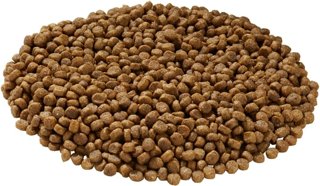 Best Pirce โค๏ธ Health Extension Little Bites Chicken & Brown Rice Recipe Dry ๐ถ Dog Food ๐ 3 Best Pirce โค๏ธ Health Extension Little Bites Chicken & Brown Rice Recipe Dry ๐ถ Dog Food ๐ - Image 3