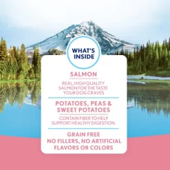 Coupon 😀 Natural Balance Limited Ingredient Diets Mini Rewards Salmon Formula 🦮 Dog Treats 🤩 -Cheap Natural Balance Store 142523 PT4. SY630 V1568828221