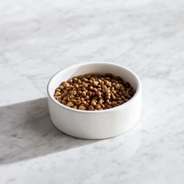 Best reviews of 🛒 Natural Balance L.I.D. Limited Ingredient Diets High Protein Chicken Formula Dry Cat Food ✔️ 3 Best reviews of 🛒 Natural Balance L.I.D. Limited Ingredient Diets High Protein Chicken Formula Dry Cat Food ✔️ - Image 3