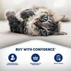 Best reviews of 🛒 Natural Balance L.I.D. Limited Ingredient Diets High Protein Chicken Formula Dry Cat Food ✔️ 12 Best reviews of 🛒 Natural Balance L.I.D. Limited Ingredient Diets High Protein Chicken Formula Dry Cat Food ✔️ -Cheap Natural Balance Store 150962 PT5. SY630 V1567712612