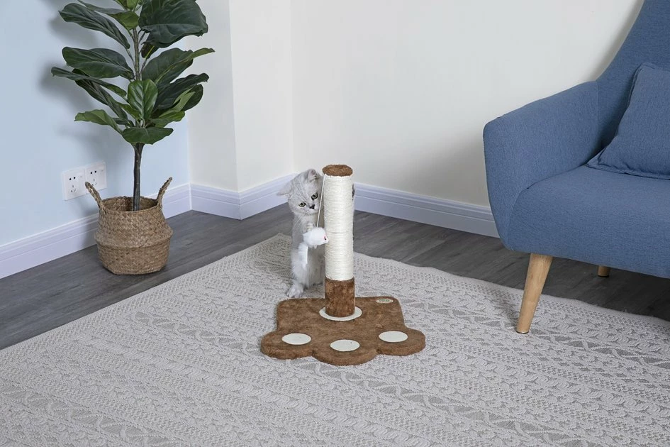 Top 10 π Go Pet Club 16-in Sisal Cat Scratching Post with Toy β 1 Top 10 π Go Pet Club 16-in Sisal Cat Scratching Post with Toy β