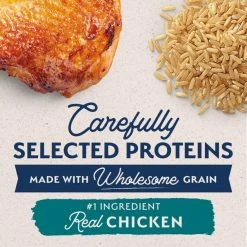 Best reviews of 🌟 Natural Balance Limited Ingredient Chicken & Brown Rice Puppy Recipe Dry 🦮 Dog Food ⭐ -Cheap Natural Balance Store 216661 PT3. SY630 V1652131310
