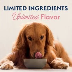 Flash Sale 🎁 Natural Balance Limited Ingredient Salmon & Brown Rice Recipe Dry 🐕 Dog Food 🥰 -Cheap Natural Balance Store 216671 PT8. SY630 V1657656297