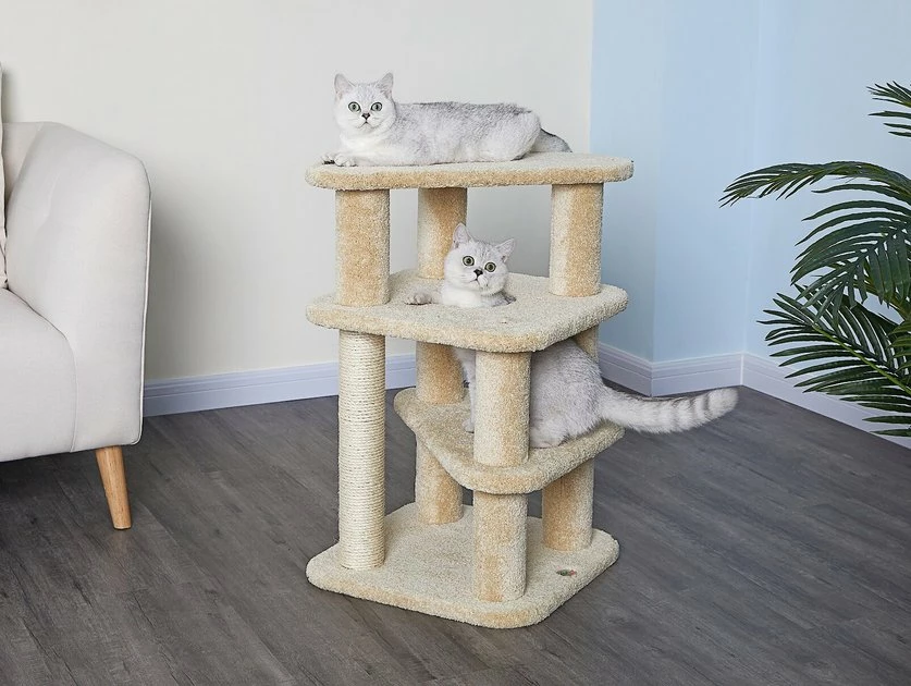 Best deal ❤️ Go Pet Club 32-in Premium Carpeted Cat Tree, Beige 🧨 1 Best deal ❤️ Go Pet Club 32-in Premium Carpeted Cat Tree, Beige 🧨