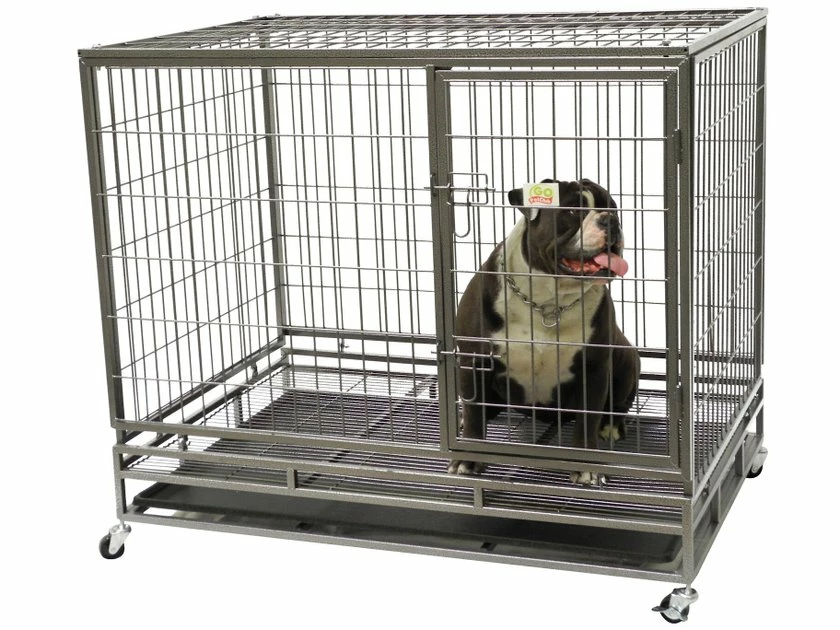 Top 10 โ Go Pet Club Heavy Duty Single Door Wire ๐ถ Dog Crate, Metal ๐ 3 Top 10 โ Go Pet Club Heavy Duty Single Door Wire ๐ถ Dog Crate, Metal ๐ - Image 3