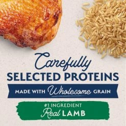 Buy 👍 Natural Balance Limited Ingredient Lamb & Brown Rice Puppy Recipe Dry 🐕 Dog Food 🛒 -Cheap Natural Balance Store 222283 PT3. SY630 V1652120636