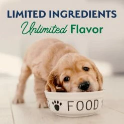 Buy 👍 Natural Balance Limited Ingredient Lamb & Brown Rice Puppy Recipe Dry 🐕 Dog Food 🛒 -Cheap Natural Balance Store 222283 PT8. SY630 V1657656280