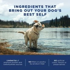 Top 10 🤩 Natural Balance Limited Ingredient Grain-Free Chicken & Sweet Potato Recipe Dry 🐕 Dog Food 🤩 -Cheap Natural Balance Store 237938 PT5. SY630 V1591811482