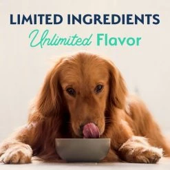 Top 10 🤩 Natural Balance Limited Ingredient Grain-Free Chicken & Sweet Potato Recipe Dry 🐕 Dog Food 🤩 -Cheap Natural Balance Store 237938 PT8. SY630 V1657656381