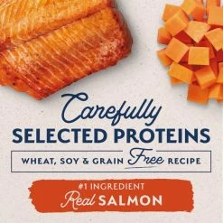 Best reviews of 🔔 Natural Balance Limited Ingredient Grain-Free Salmon & Sweet Potato Small Breed Bites Recipe Dry 🐶 Dog Food ✨ -Cheap Natural Balance Store 237953 PT3. SY630 V1652120579