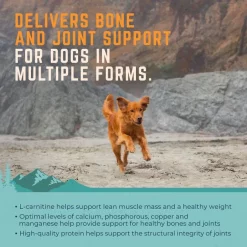 Hot Sale 🎁 Natural Balance On the Move Chicken & Barley Formula High-Protein Dry 🐶 Dog Food 🛒 -Cheap Natural Balance Store 263821 PT3. SY630 V1608763951