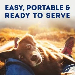 Wholesale 🤩 Natural Balance Platefulls Tender Beef & Potato Recipe Wet 🐕 Dog Food, 9-oz pouch, case of 12 🌟 -Cheap Natural Balance Store 316439 PT5. SY630 V1627598808