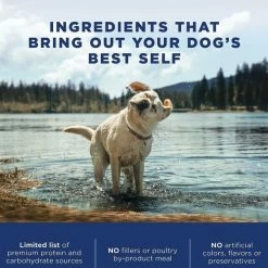 Flash Sale 👍 Natural Balance L.I.D. Limited Ingredient Diets Sweet Potato & Fish Formula Canned Food + Salmon & Sweet Potato Formula Dry 🐕 Dog Food 😀 -Cheap Natural Balance Store 356858 PT7. SY630 V1640893607