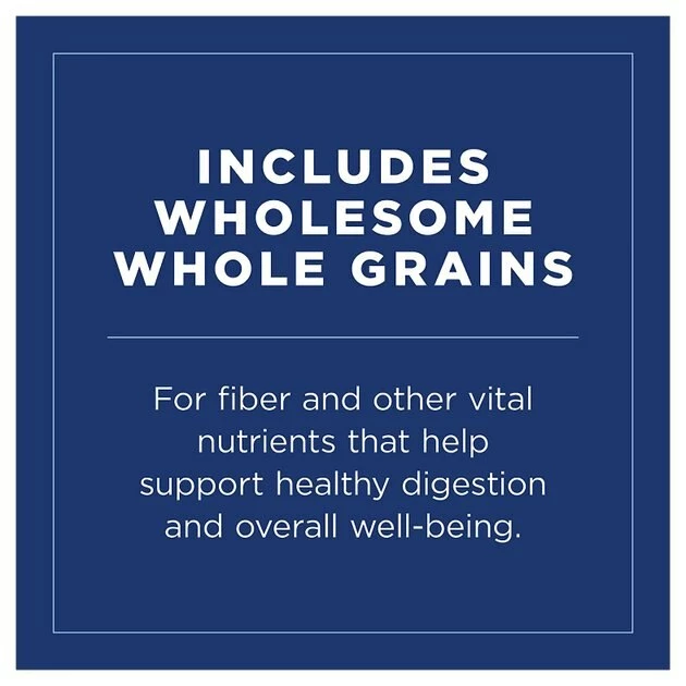 Discount 😉 Natural Balance Vegetarian Formula Canned 🐶 Dog Food 🧨 3 Discount 😉 Natural Balance Vegetarian Formula Canned 🐶 Dog Food 🧨 - Image 3