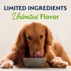 Top 10 🔔 Natural Balance Vegetarian Formula Dry 🦮 Dog Food 💯 -Cheap Natural Balance Store 537286 PT7. SY630 V1652740343