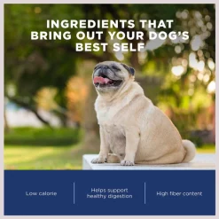 Cheap 😉 Natural Balance Fat 🐶 Dogs Chicken & Salmon Formula Low Calorie Dry 🐶 Dog Food ✨ -Cheap Natural Balance Store 61825 PT6. SY630 V1609886246