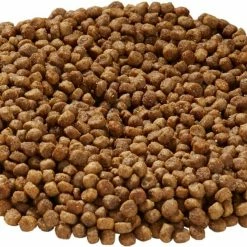 Budget ๐ Health Extension Little Bites Lite Chicken & Brown Rice Recipe Dry ๐ฆฎ Dog Food โญ 10 Budget ๐ Health Extension Little Bites Lite Chicken & Brown Rice Recipe Dry ๐ฆฎ Dog Food โญ -Cheap Natural Balance Store 71267 PT2. SY630 V1516308410