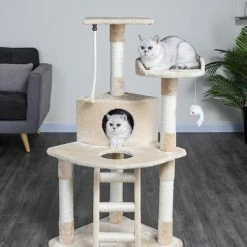 Budget 😉 Go Pet Club 48-in Classic Sisal Posts Cat Tree Condo ⌛