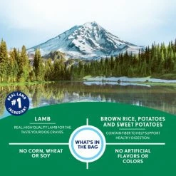 Hot Sale 🌟 Natural Balance Limited Ingredient Diets Mini-Rewards Lamb Formula 🦮 Dog Treats 🧨 -Cheap Natural Balance Store 77429 PT4. SY630 V1568827800