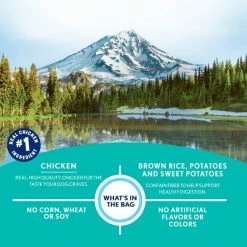 Best deal ๐ Natural Balance Limited Ingredient Diets Mini-Rewards Chicken Formula ๐ฆฎ Dog Treats ๐ฏ 11 Best deal ๐ Natural Balance Limited Ingredient Diets Mini-Rewards Chicken Formula ๐ฆฎ Dog Treats ๐ฏ -Cheap Natural Balance Store 77431 PT4. SY630 V1568827831