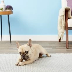 Hot Sale ⭐ Health Extension 4" Whole Elk Antler ⌛ 8 Hot Sale ⭐ Health Extension 4" Whole Elk Antler ⌛ -Cheap Natural Balance Store 88684 PT4. SY630 V1551371347