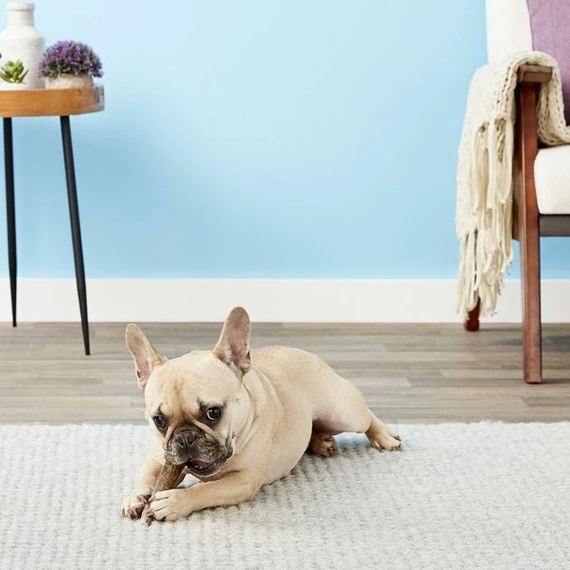 Hot Sale ⭐ Health Extension 4" Whole Elk Antler ⌛ 3 Hot Sale ⭐ Health Extension 4" Whole Elk Antler ⌛ - Image 3