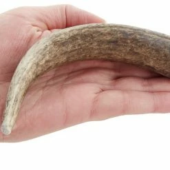 Hot Sale ⭐ Health Extension 4" Whole Elk Antler ⌛ 9 Hot Sale ⭐ Health Extension 4" Whole Elk Antler ⌛ -Cheap Natural Balance Store 88684 PT5. SY630 V1551371349