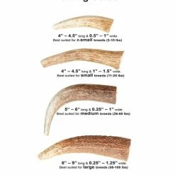 Hot Sale ⭐ Health Extension 4" Whole Elk Antler ⌛ 10 Hot Sale ⭐ Health Extension 4" Whole Elk Antler ⌛ -Cheap Natural Balance Store 88684 PT6. SY630 V1551371352